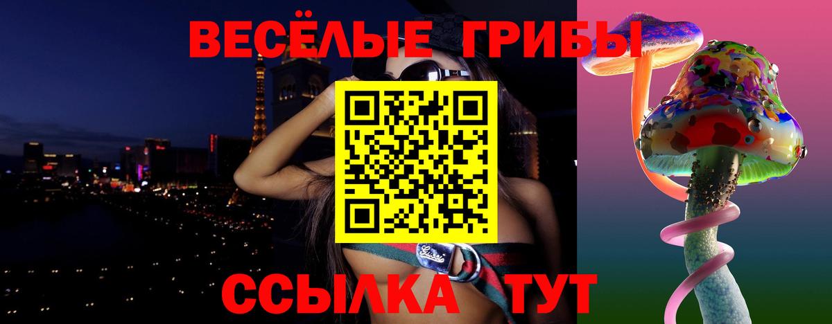 Псилоцибиновые грибы мицелий Чернушка